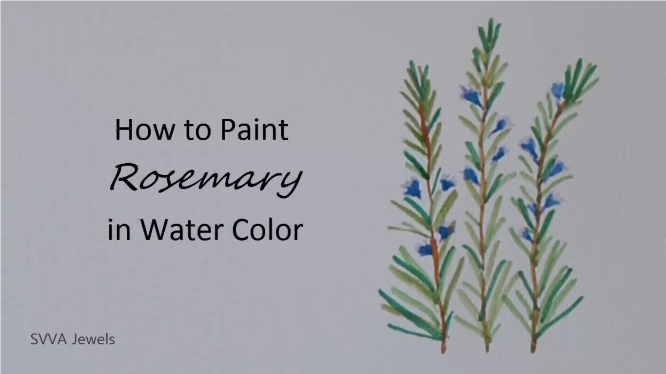 1366x768 How To Paint Rosemary In Watercolor