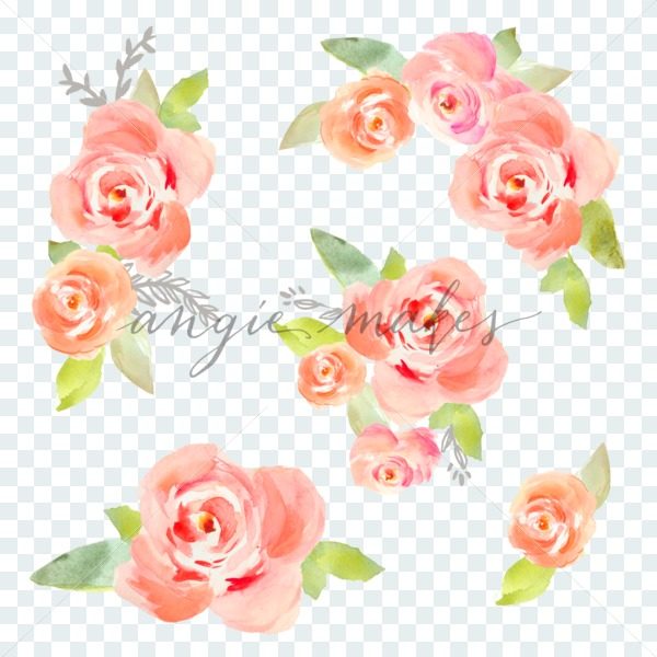 600x600 Painted Watercolor Roses Clip Art