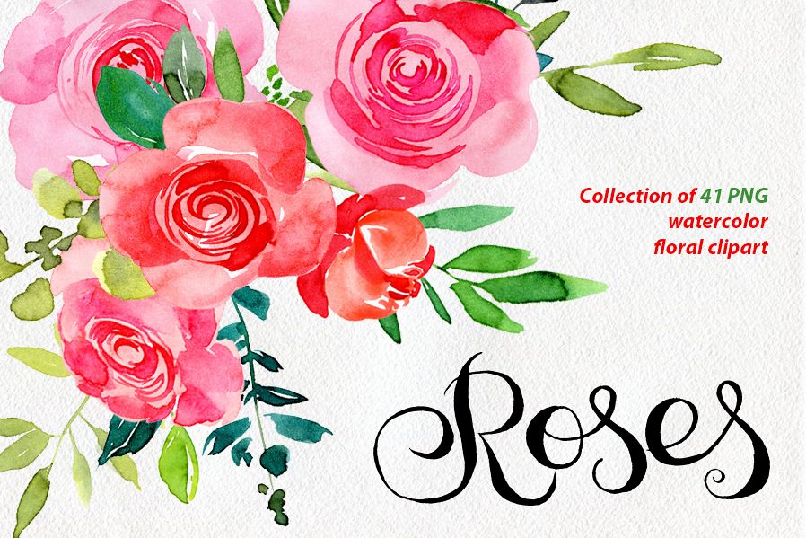 898x599 Red Amp Pink Watercolor Roses Png