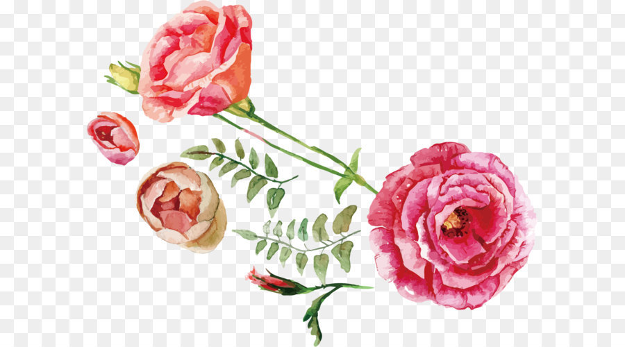 900x500 Rose Flower Bouquet Illustration