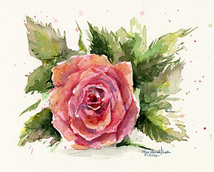 300x242 Roses Watercolor Paintings Fine Art America