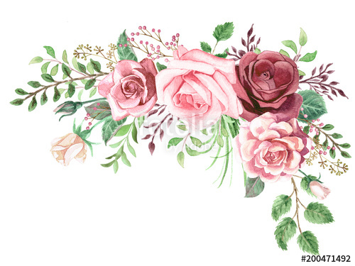 500x375 Watercolor Roses And Greenery Foliage Corner Stock Photo And