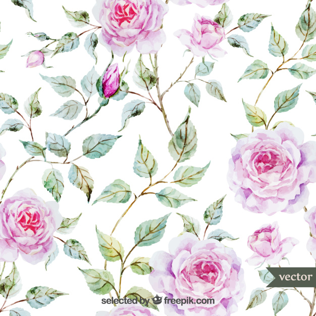 626x626 Watercolor Roses Vector Free Download