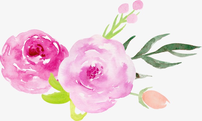 650x388 Hand Painted Watercolor Roses Decorative Elements, Illustration