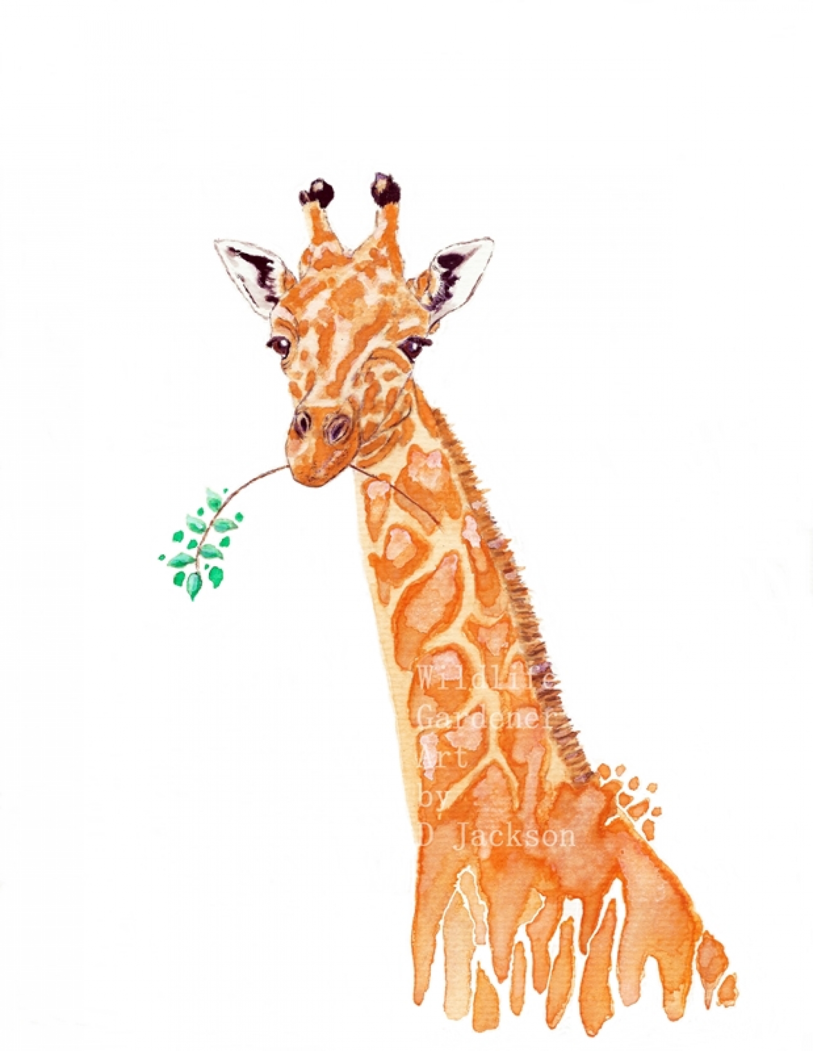 1600x2068 Safari Animals Watercolor Art Prints, Blue Elephant, Orange