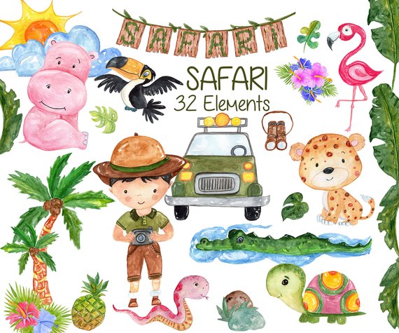 570x475 Watercolor Safari Animals Clipart African Animals Etsy