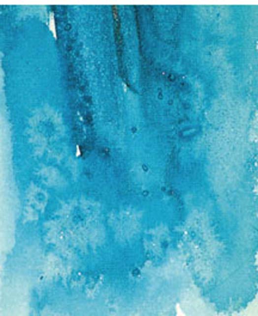 524x640 Painting With Salt