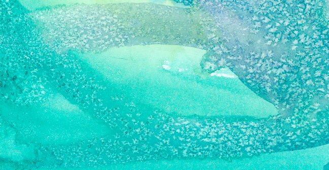 648x336 Pauline Persing Art, Writing,amp Natural History Using Salt On