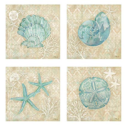 425x425 Lovely Watercolor Style Laguna Seashell, Sand Dollar