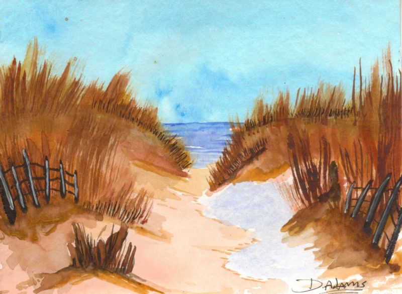 800x585 Ocracoke Island Sand Dunes Adamsart