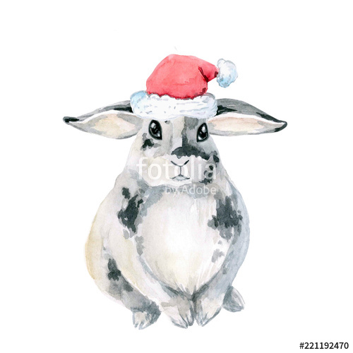 500x500 Gray Spotted Rabbit, Sitting. Watercolor Is Isolated On White