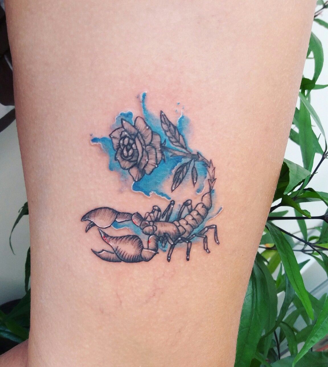 1152x1288 Watercolor Scorpion Tattoo. Coverup Tattoo Tattoo