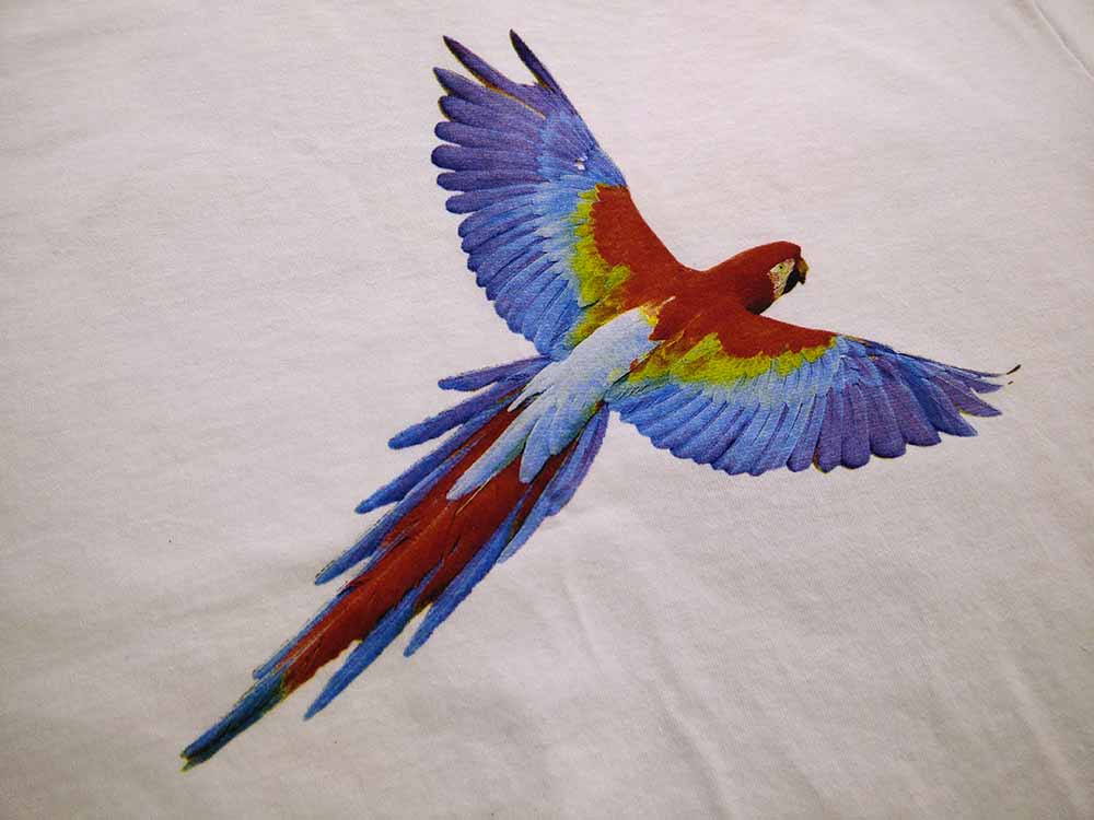 1000x750 Screen Printing Fineline Imprints