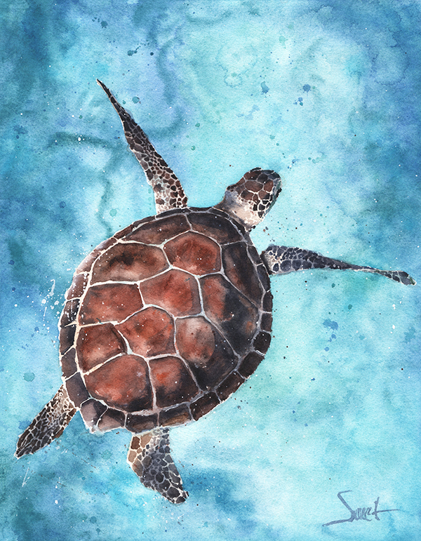 600x771 Sea Turtle Watercolor Print Watercolor Animal Paintings