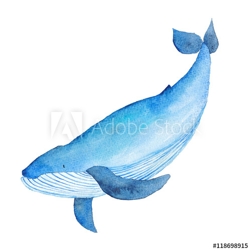 500x500 Blue Whale Watercolor Hand Painted Illustration Sea Animals Blue