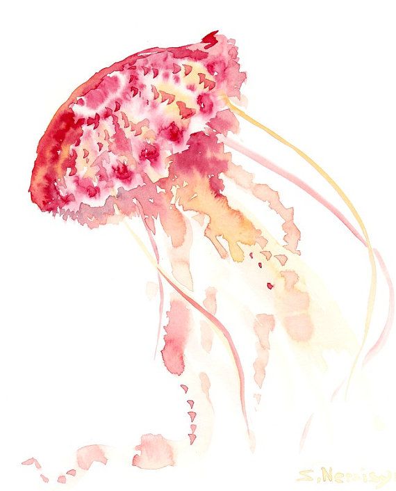 570x706 Jelly Fish, Original Watercolor Paitning, 10 X 8 In, Sea Animals