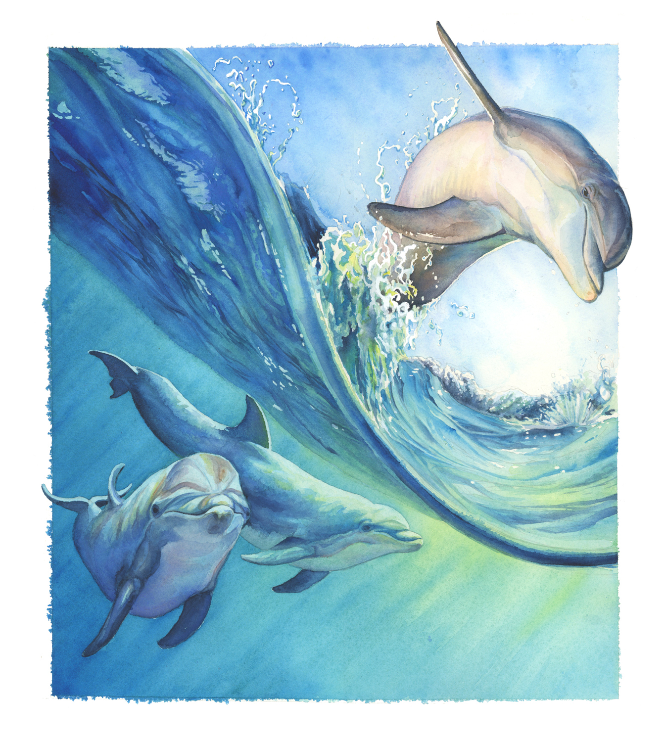 1344x1500 Maury Aaseng Art Of Painting Sea Life In Watercolor On Behance