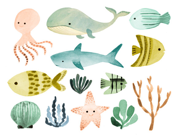 570x440 Ocean Animals