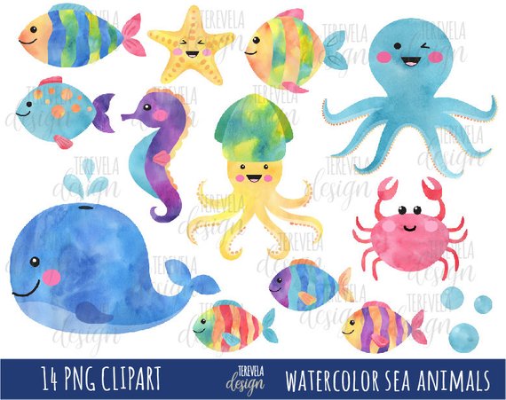 570x451 50% Sale Watercolor Sea Animals Clipart Summer Clipart Etsy
