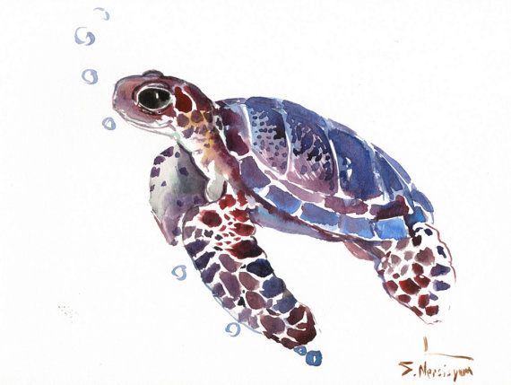 570x429 Sea Turtle, Original Watercolor Painting, 9 X 12 In, Sea Animal