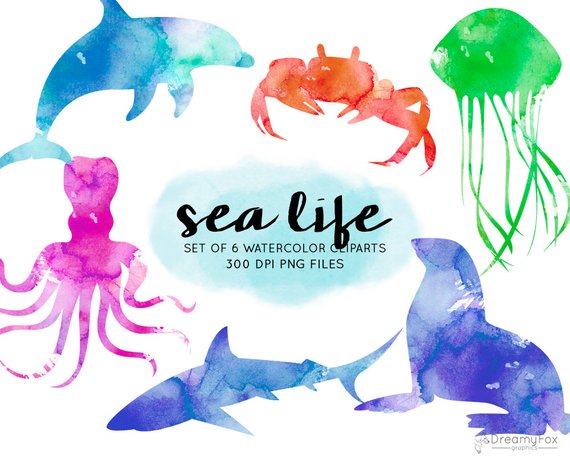 570x459 Sea Animals Watercolor Clipart Watercolor Ocean Life Clipart Etsy