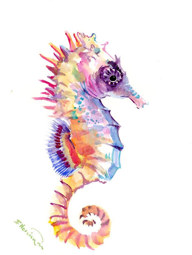 617x820 Seahorse Art, One Of A Kind Original Watercolor Painting Sea World