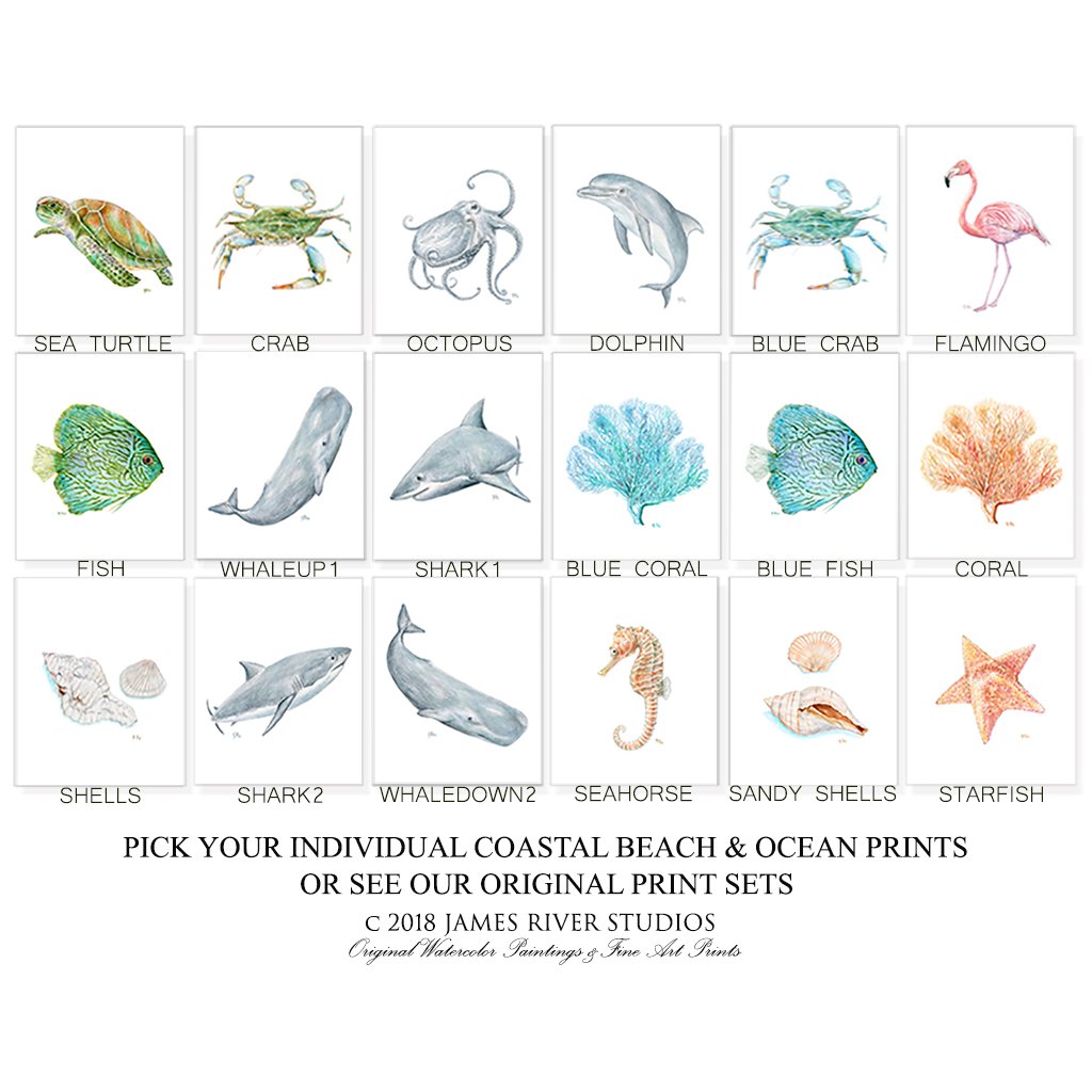 1024x1024 Seahorse Print