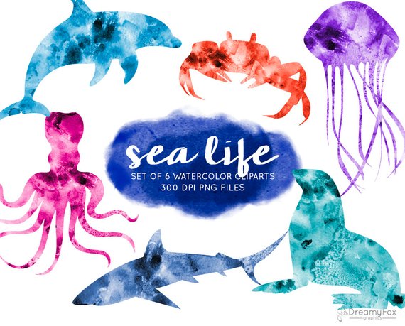 570x459 Watercolor Ocean Animals Clipart Sea Life Watercolor Clipart Etsy