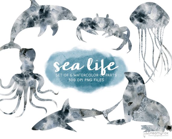 570x459 Watercolor Sea Animals Clip Art Set Sea Life Clipart Ocean Etsy