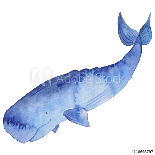 500x500 Whale Watercolor Hand Painted Illustration Sea Animals Blue Whales