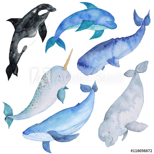 500x500 Whales Set Watercolor Hand Painted Illustration Sea Animals Blue