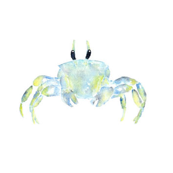 354x354 Best Watercolor Paintings Of Fish Products On Wanelo