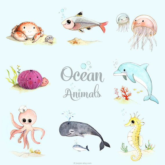 570x570 Ocean Themed Nursery, Ocean Animals Print Set, Sea Animals, Ocean