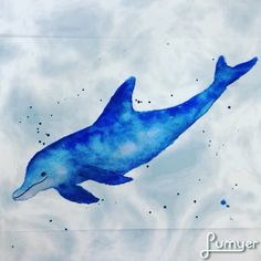 236x236 The 17 Best Watercolor Sea Creaturesmammals Images