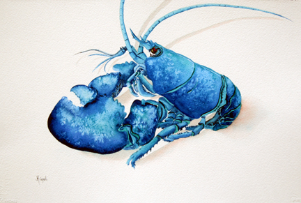 432x291 Watercolor Sea Creatures Jean Kigel Maine