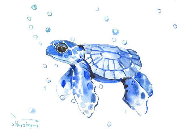 570x429 Watercolor Sea Creatures