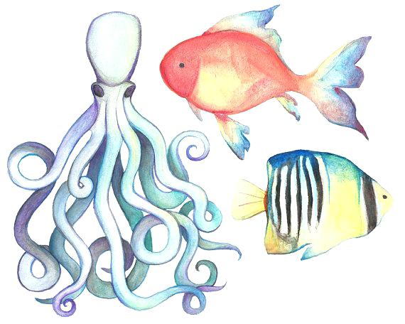 570x456 Sea Life Images Clip Art Watercolor Sea Life Watercolor Hand