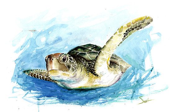 570x362 Turtle Watercolor Print