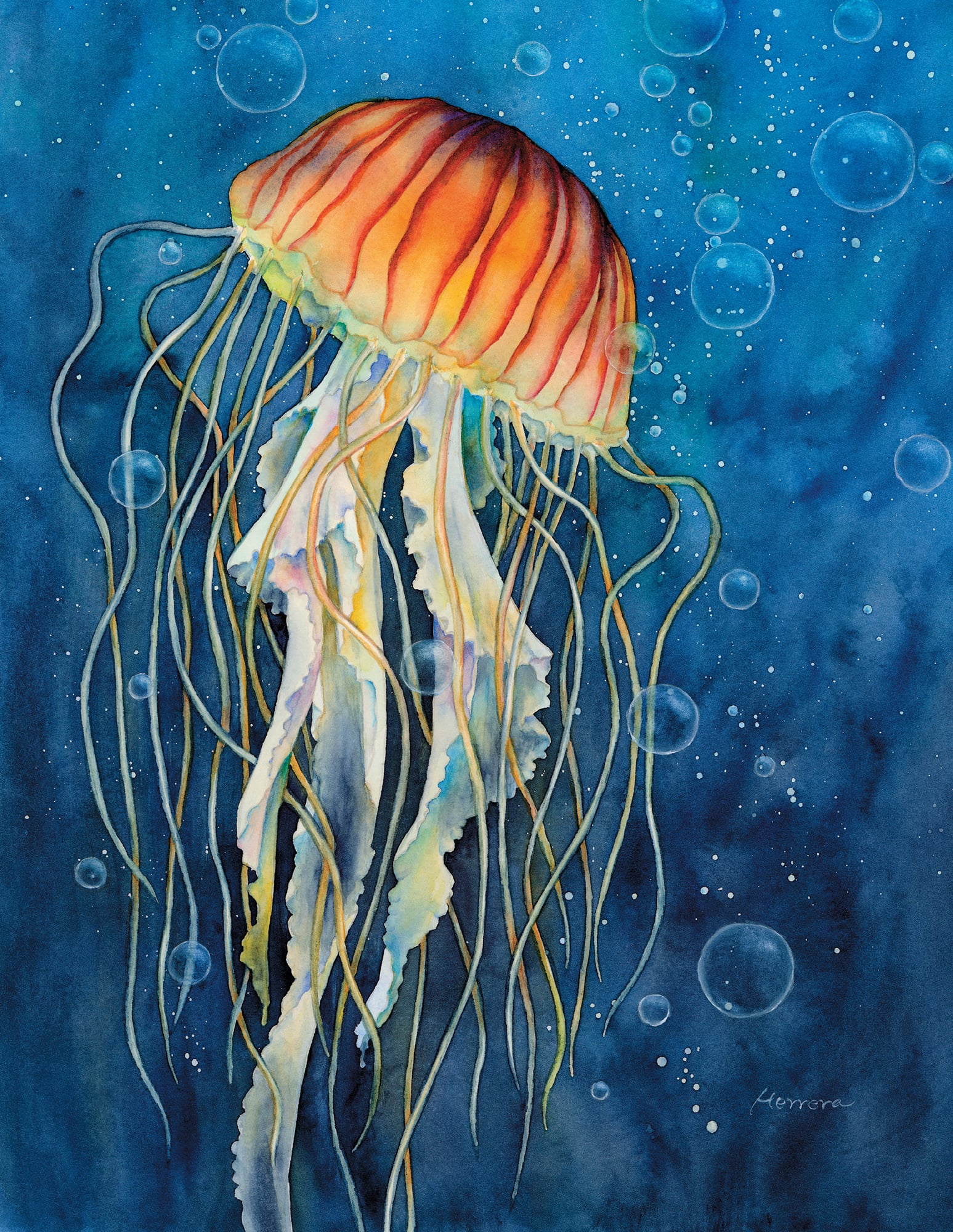 1547x2000 The Art Of Painting Sea Life In Watercolor