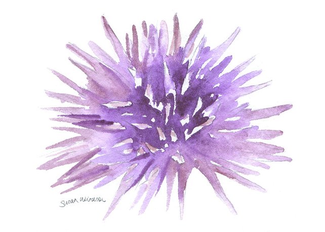 642x459 Urchin Watercolor Painting 5 X 7 Sea Life Purple Etsy