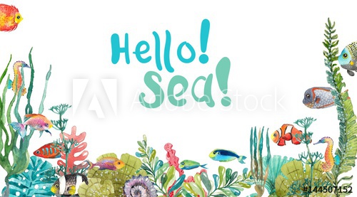 500x277 Watercolor Sea Life, Seaweed, Shell, Fish, Sea Horse, Beautiful