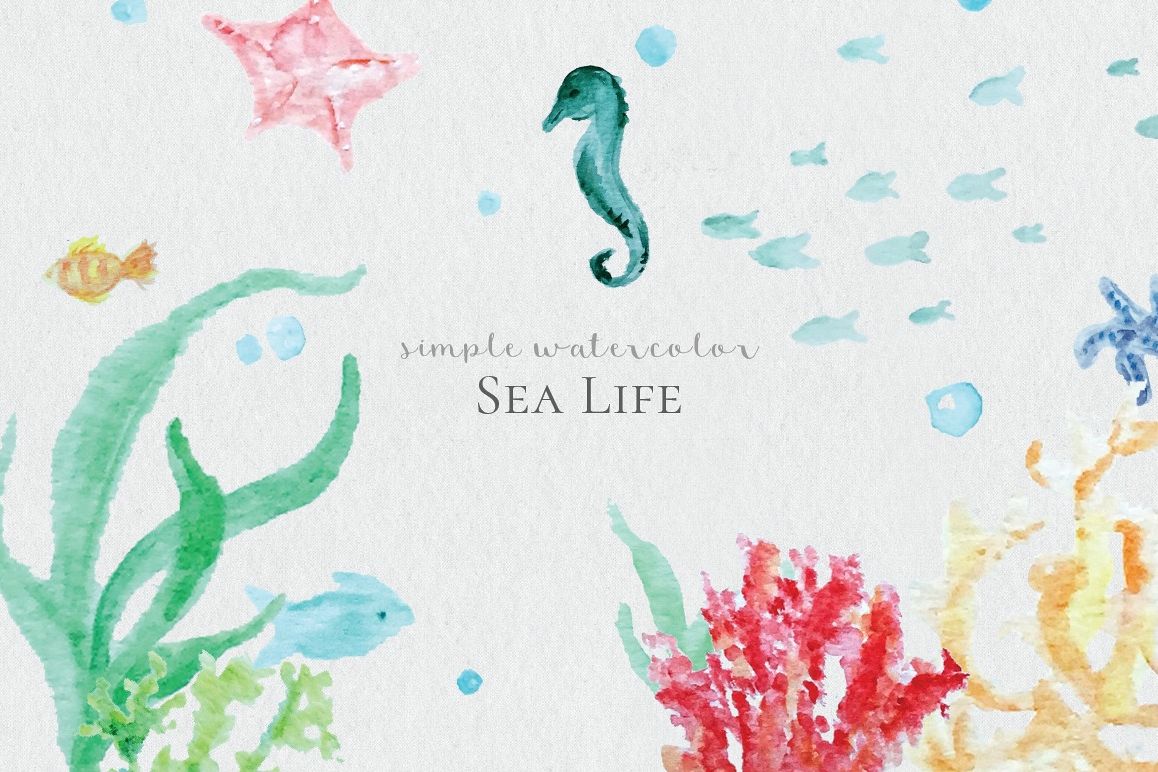 1158x772 Watercolor Sea Life
