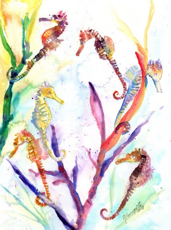 570x765 Seahorse Painting Watercolor Sea Horse Sea Life Watercolor Etsy
