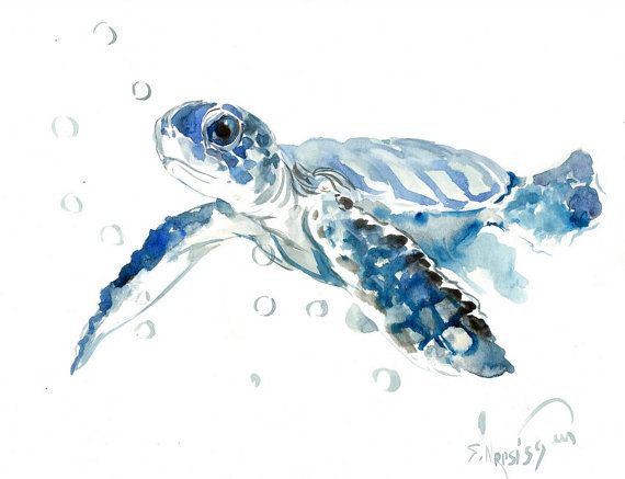 570x437 Sea Turtle Painting, Original Watercolor Painting, 14 X 11 In