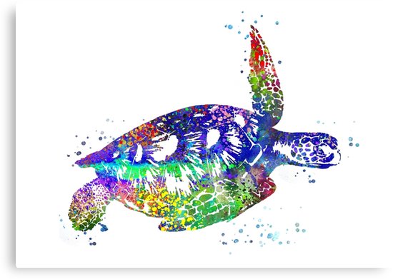 550x391 Sea Turtle, Watercolor Sea Turtle Canvas Prints By Rosaliartbook