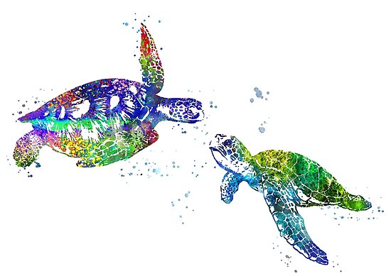 550x389 Sea Turtle, Watercolor Sea Turtle Posters By Rosaliartbook