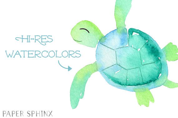 570x379 Watercolor Sea Turtle Clipart