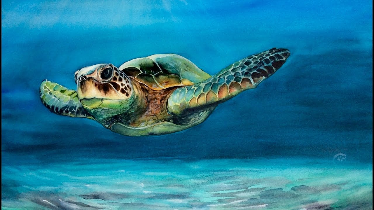 1280x720 Watercolor Sea Turtle Painting Demonstration