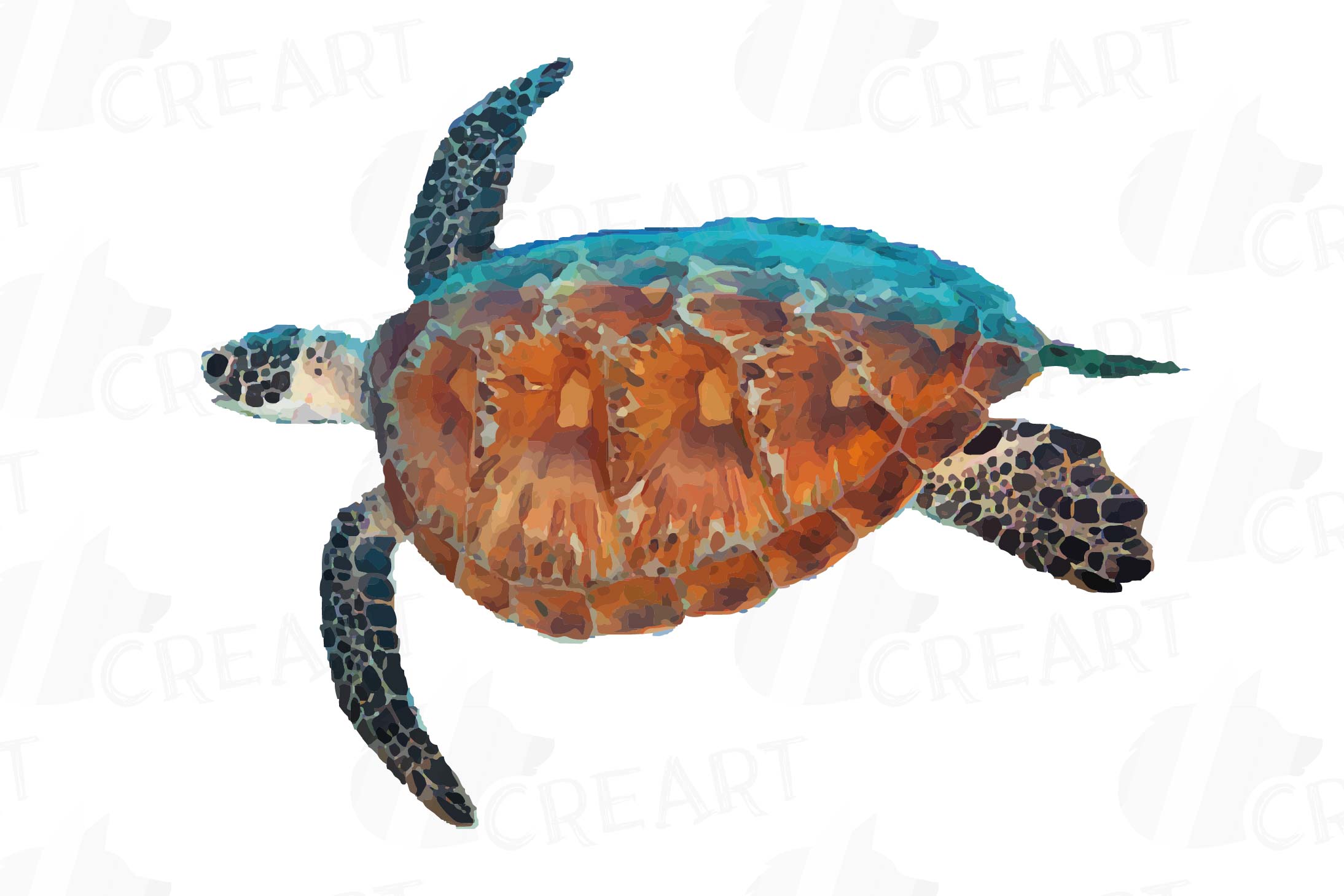 2188x1459 Watercolor Sea Turtles Clip Art Pack, C Design Bundles
