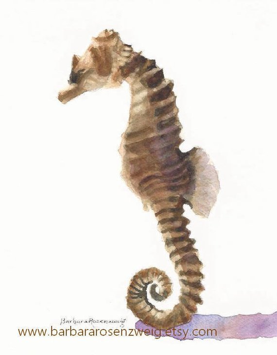 570x730 Seahorse Print Seahorse Wall Art Seahorse Watercolor Etsy